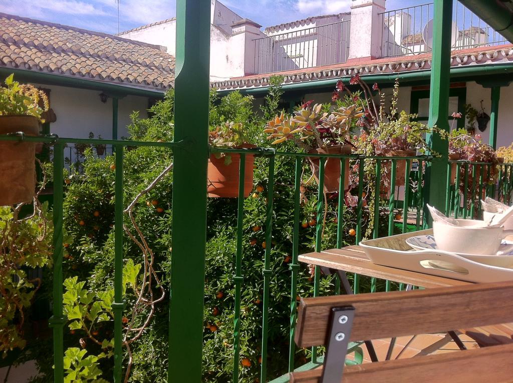Apartment Tradicional Oasis Sevillano *